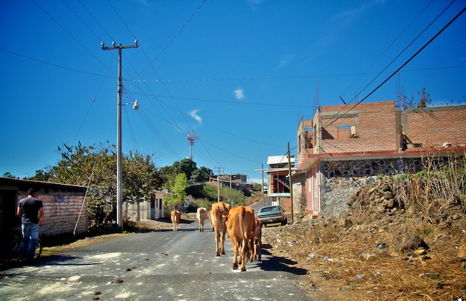 MX Busy Road